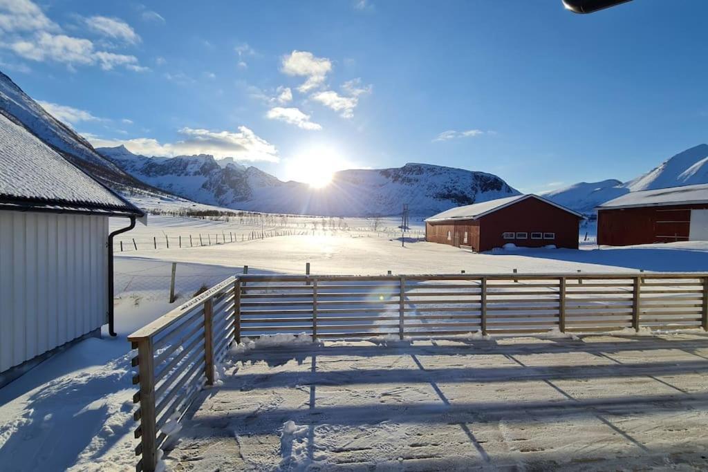 Arctic Lodge Tromvik With Jacuzzi Tromsø Exterior foto